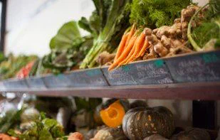 Plump Organic Grocery in Yarraville